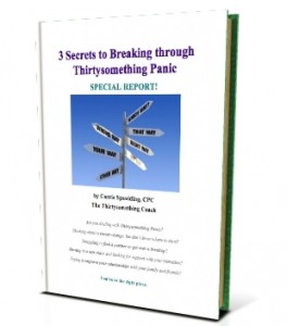 Thirtysomething Panic Secrets cover